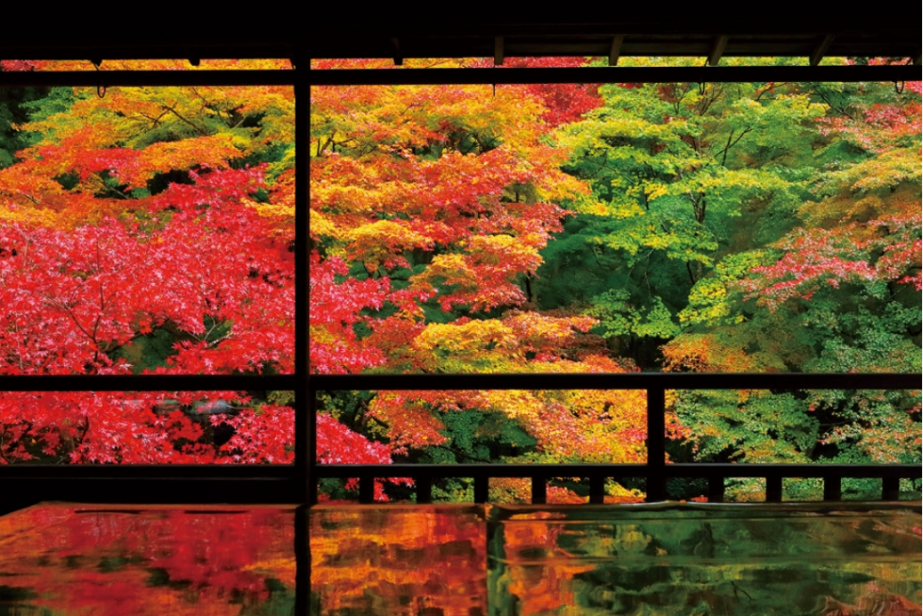 autumn foliage inside the garden of Rurikō-in Temple in Kyoto. 